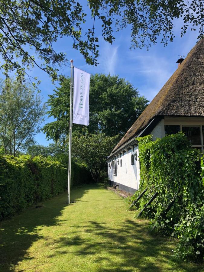 Hoeve Te Gast - Vakantieboerderij Groet Extérieur photo