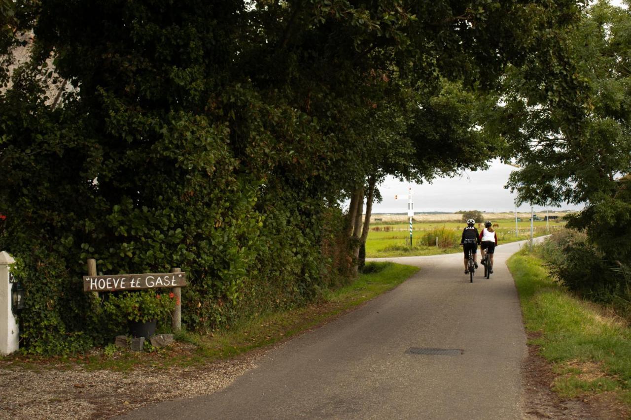 Hoeve Te Gast - Vakantieboerderij Groet Extérieur photo